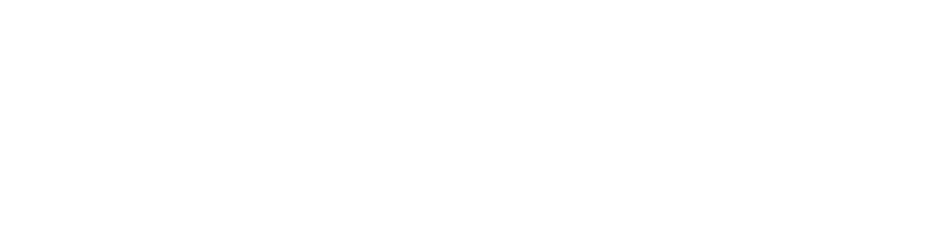 dymension logo